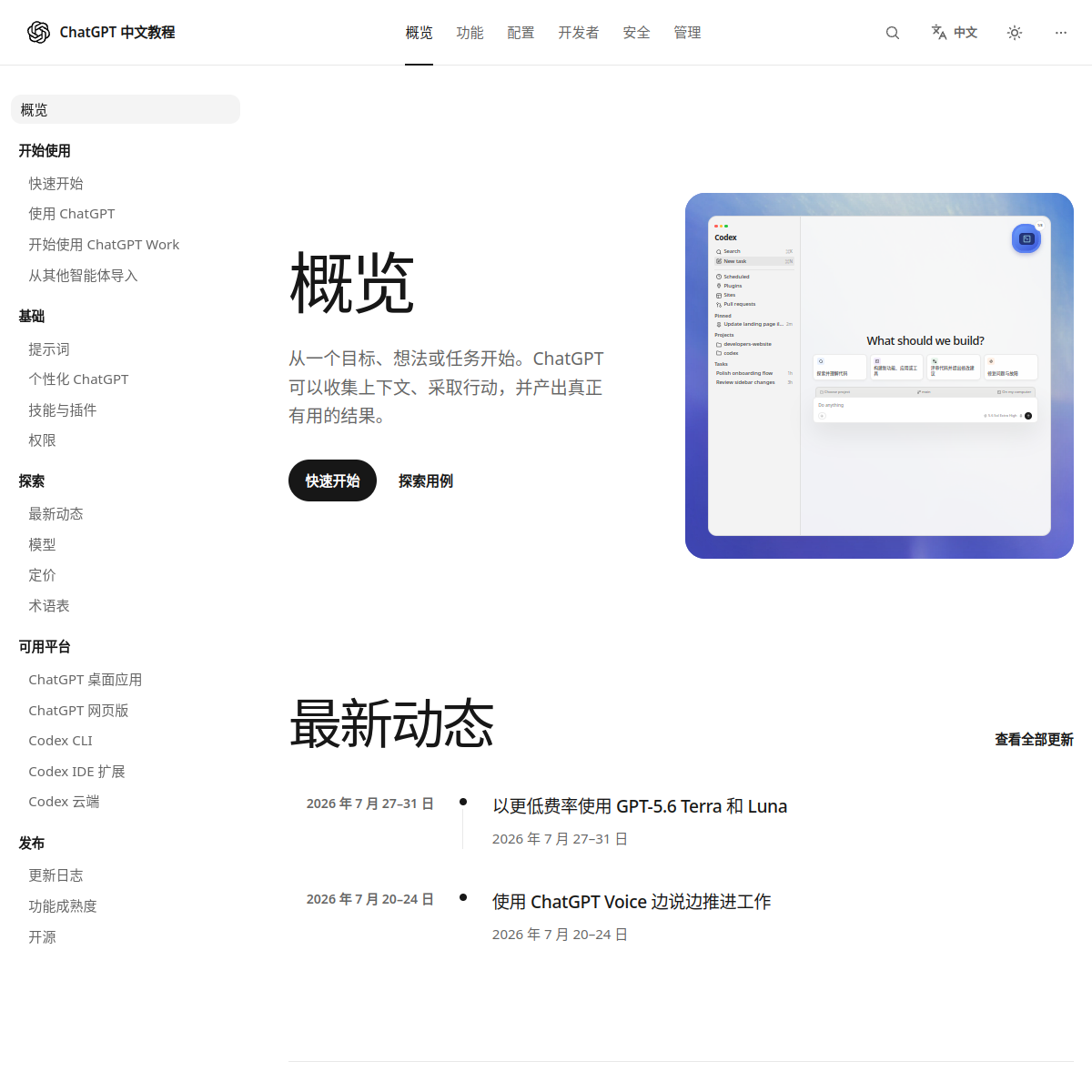 Codex 文档首页截图